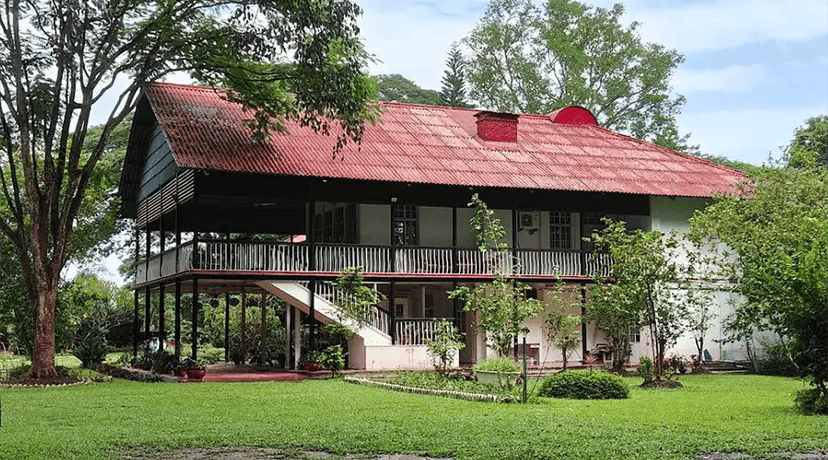 Tea Plantation Bungalow in Darjeeling